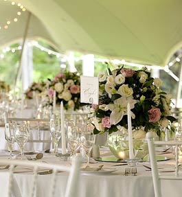 Timeless Weddings Company