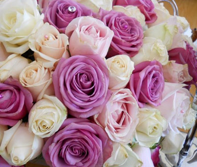 White Orchid Events